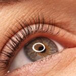 A woman's eye with long black eyelashes after lamination. Closeup opened girl's eye with eyelashes